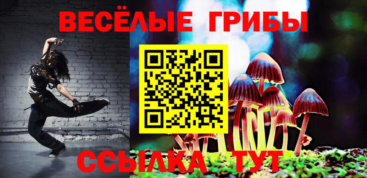 Псилоцибиновые грибы прущие грибы  Вход с VPN  Азов  Псилоцибиновые грибы Psilocybe 